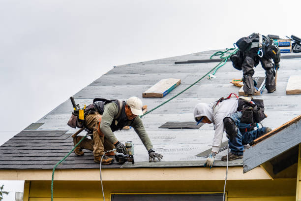 Professional Roofing technician working in Barton, NY